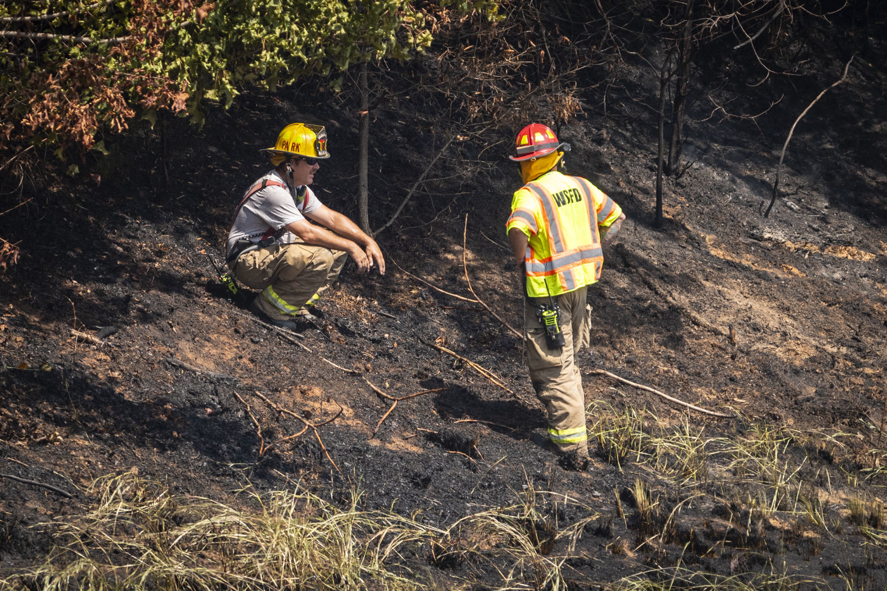 BrushFire